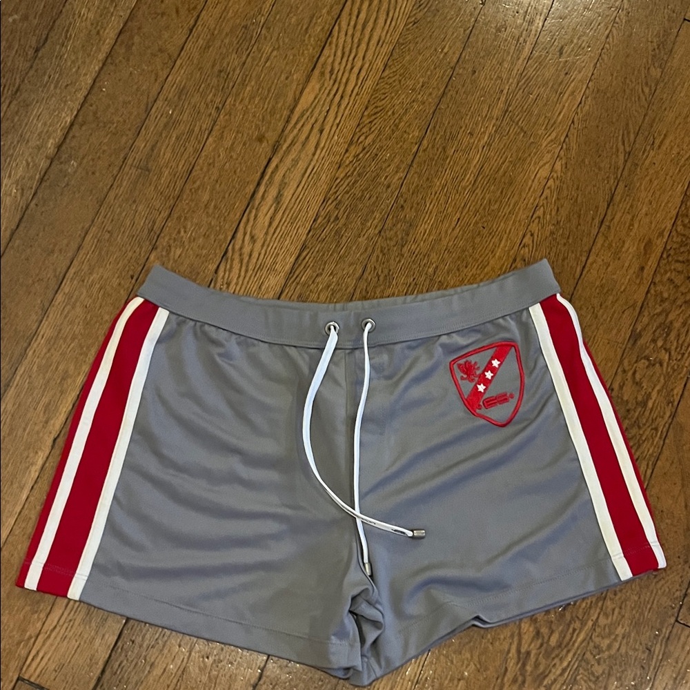 Barely worn ES Collection Men’s Shorts